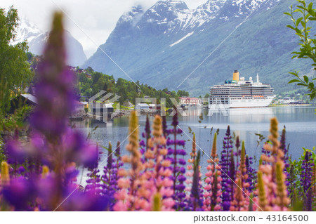 mountain landscape at the norway 43164500