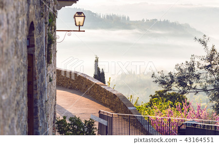 street old town San Gimignano street old town San Gimignano 43164551