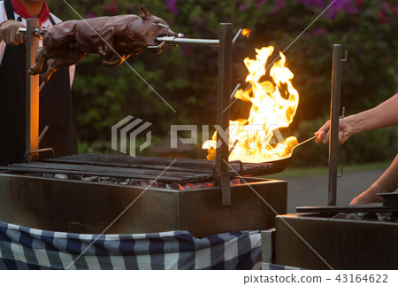 Suckling Pig BBQ on grill. Roasting piglet  43164622