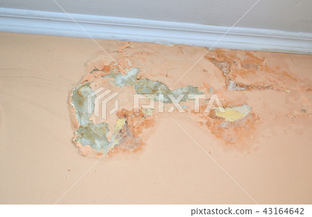 Inside wall damaged by humidity Inside wall damaged by humidity 43164642