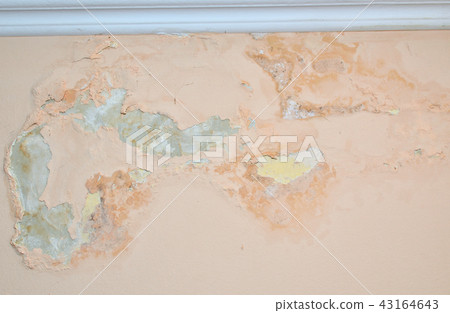 Wall damaged by moisture Wall damaged by moisture 43164643