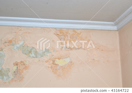 Wall damaged by moisture 43164722