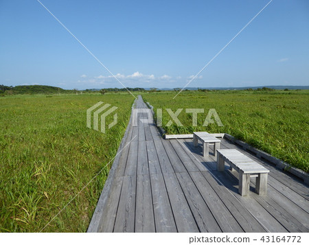 Sarobetsu Primeval Garden 43164772