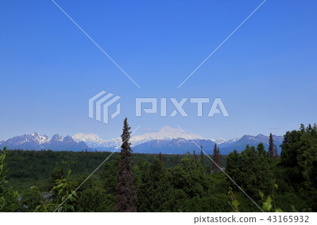 Landscape of Denali National Park (Alaska, USA) 43165932