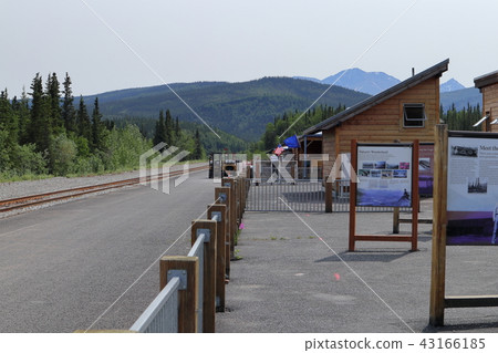 德納利國家公園（阿拉斯加州，美國）的景觀 43166185