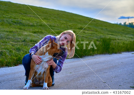 Blond girl on an evening walk with a dog. Blond girl on an evening walk with a dog. 43167002