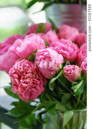 Lovely flowers in glass vase. Beautiful bouquet of pink peonies . Floral composition, scene Lovely flowers in glass vase. Beautiful bouquet of pink peonies . Floral composition, scene 43167489