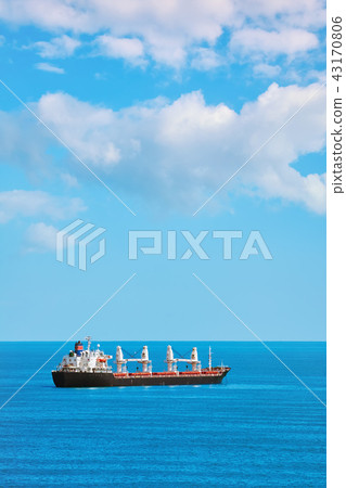 Cargo Ship in the Sea 43170806