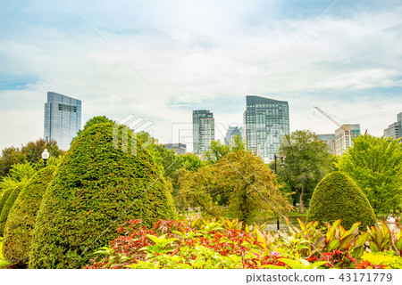 Boston skyline from Boston Public Garden Boston skyline from Boston Public Garden 43171779