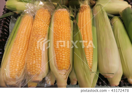 Corn Corn 43172478