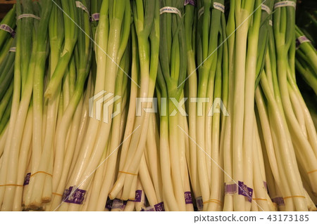 Leek 43173185