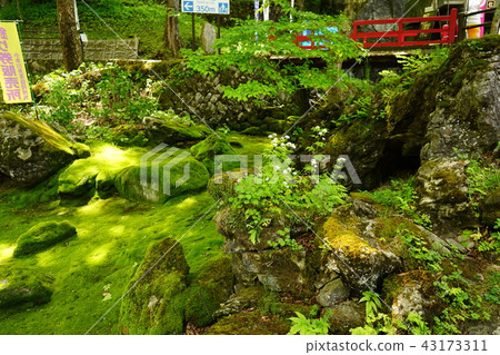 Iwasen Ryusen-dong is also beautiful Iwasen Ryusen-dong is also beautiful 43173311