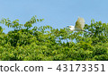 Fly Chubby Fly Chubby 43173351