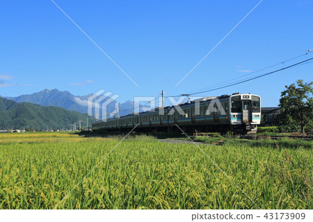 Summer in the foot of the mountain foothills of the Northern Alps Summer in the foot of the mountain foothills of the Northern Alps 43173909