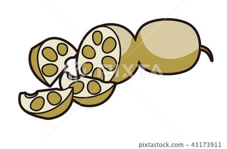 Illustration of lotus root (Comb cutting) 43173911