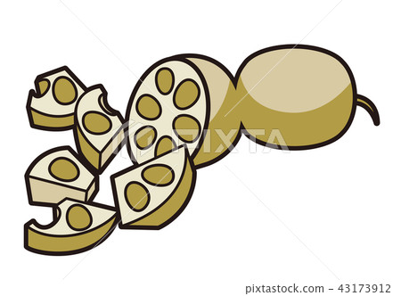 Illustration of sweet potato 43173912