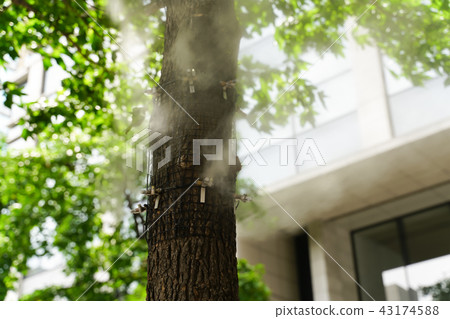 幹霧設備東京中心城市 43174588