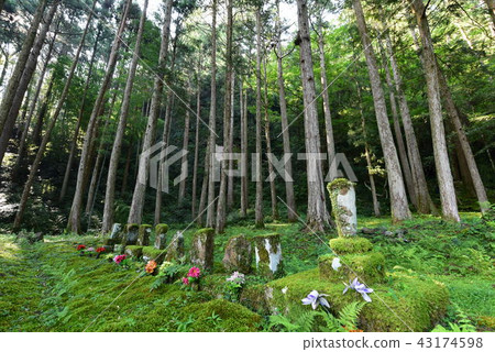 Tokushima Kaibu的Kaiyo鎮的Namikiri Fudoson的未婚的菩薩 43174598