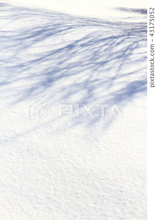 冬天，雪，雪花，冬天場面 43175052