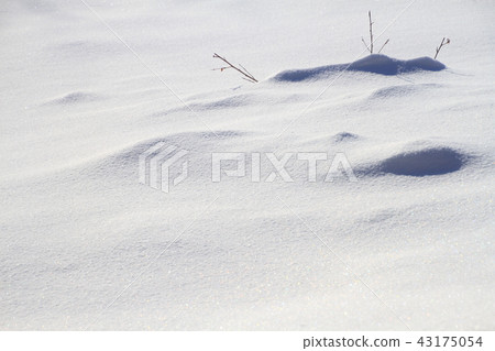 冬天，雪，雪花，冬天場面 43175054