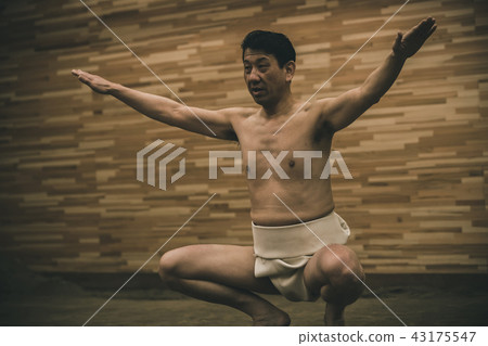 sumo, sumo wrestling, training 43175547