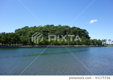 Nojima Koen Nojima Koen 43175556