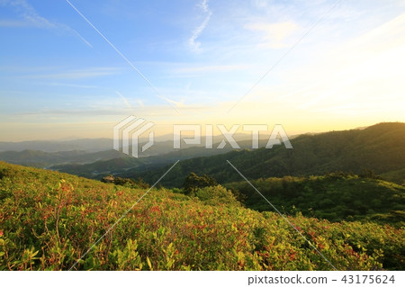 Second-arid sunrise bosung 43175624