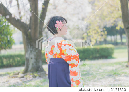 female, lady, woman 43175820