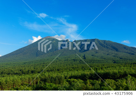 Dusk of Iwateyama Hachimantairi City Iwate Prefecture 43175906