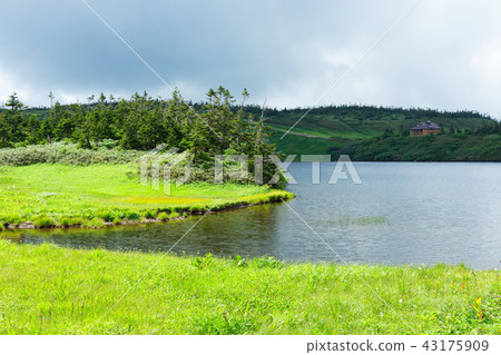 八幡町和Miyama的水邊的綠色火災故事 43175909