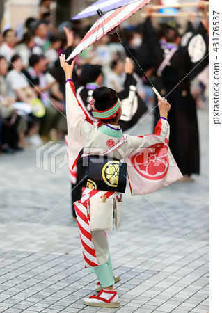Yosakoi Yosakoi 43176537