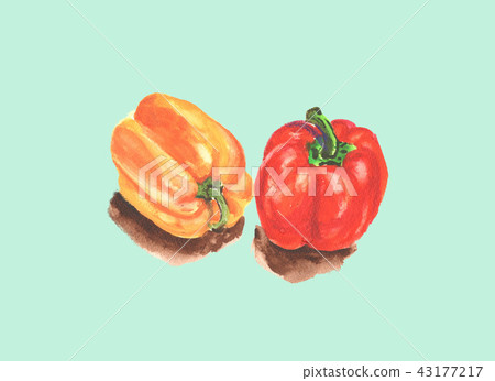 Watercolor bell pepper Watercolor bell pepper 43177217