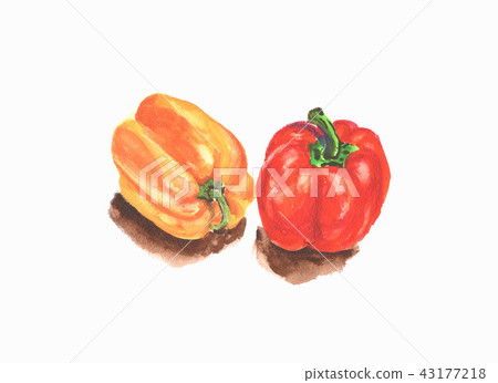 Watercolor bell pepper Watercolor bell pepper 43177218