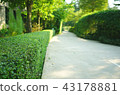 concrete pathway with green trimmed bush hedge 43178881