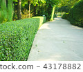 concrete pathway with green trimmed bush hedge 43178882