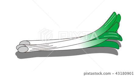Illustration of Onigiri Illustration of Onigiri 43180901