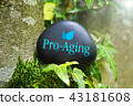 Pro-Aging 43181608