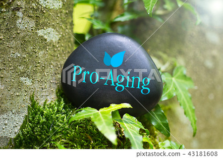 Pro-Aging 43181608