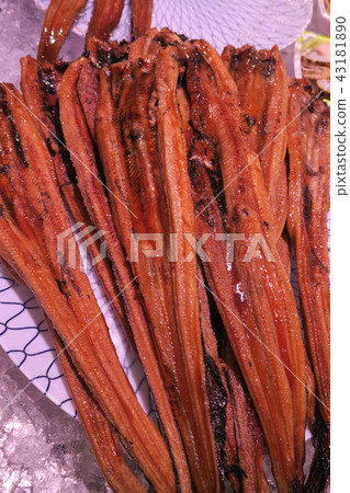 康吉鰻魚 康吉鰻魚 43181890