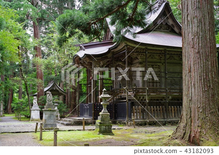 福井縣胜山市的平泉寺白山神社 福井縣胜山市的平泉寺白山神社 43182093