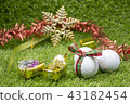 Merry Christmas to golfer 43182454