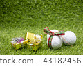 Merry Christmas to golfer 43182456