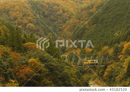 Tarumi鐵路運行Neogawa谷的彩色葉子 43182520