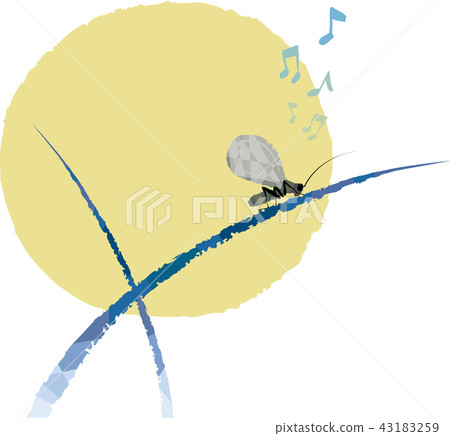 滿月和鈴木 43183259