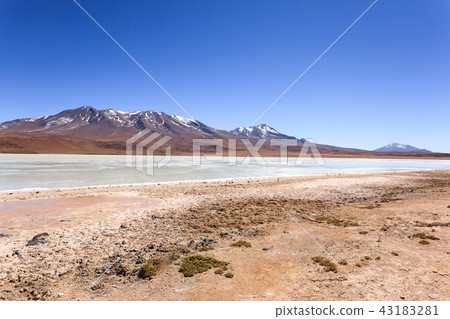 Laguna Hedionda view, Bolivia Laguna Hedionda view, Bolivia 43183281