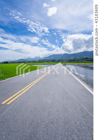 台灣台東布朗大道台東布朗大道台東稻荷 台灣台東布朗大道台東布朗大道台東稻荷 43183609