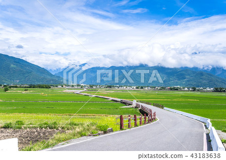 台灣台東布朗大道台東布朗大道台東稻荷 台灣台東布朗大道台東布朗大道台東稻荷 43183638