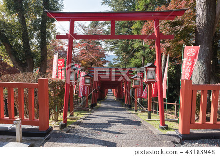 Inari Torii Inari Torii 43183948