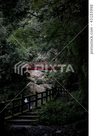 One point in the forest 43183998