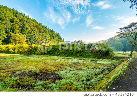 Ichijodani Castle Kamijoto 43184216